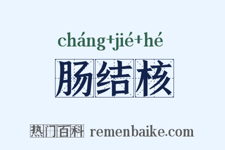 肠结核是什么意思的图片